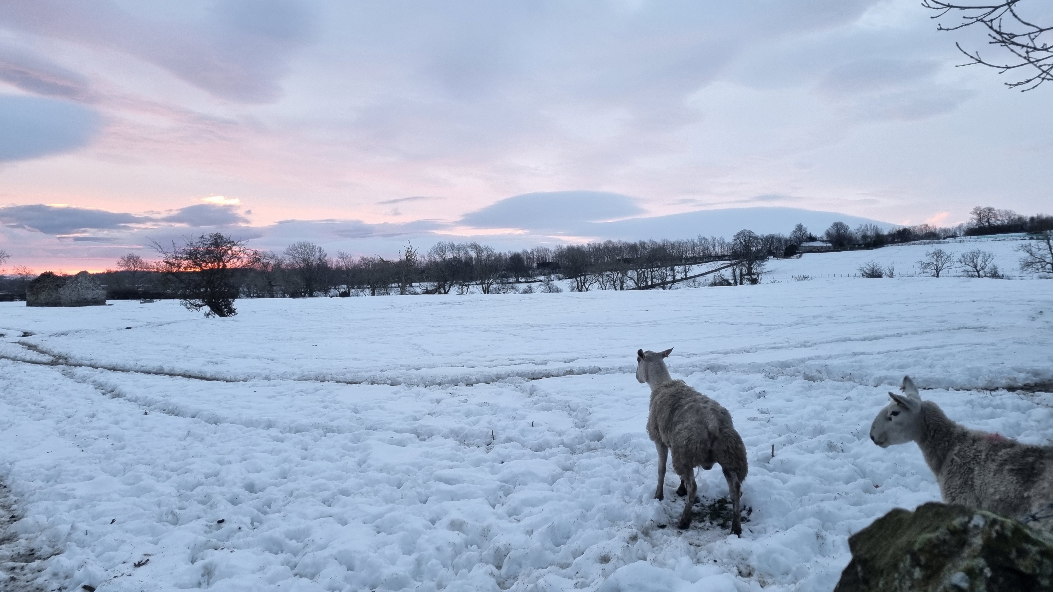 Teesdale landscape